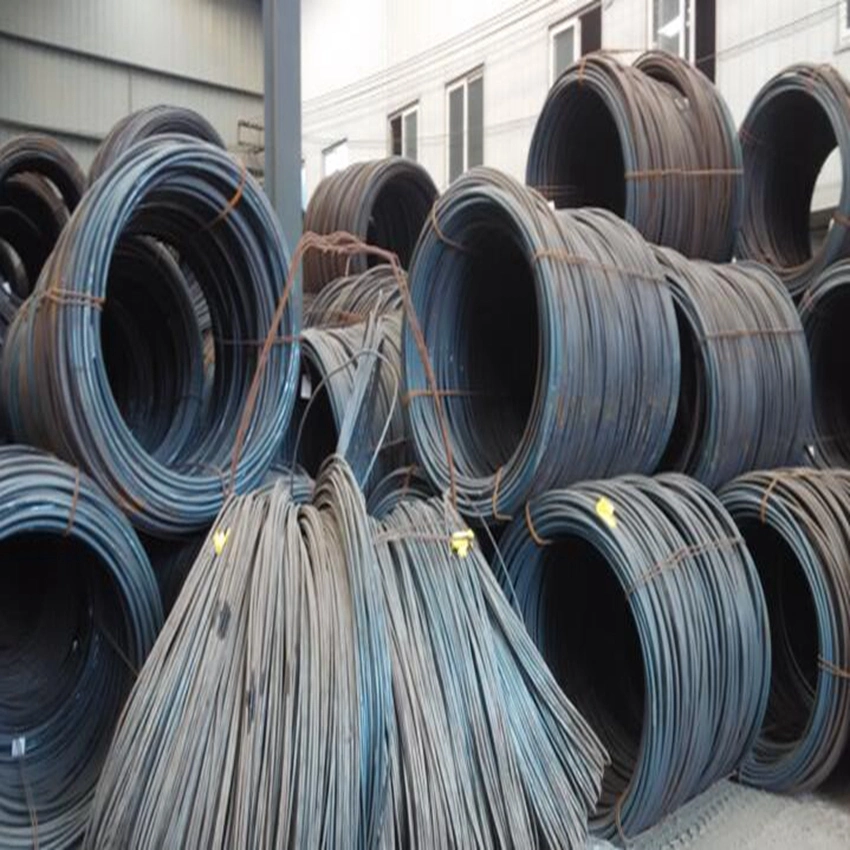 Hot Rolled SAE1008 Galvanized Steel Wire Rods for Nail Making